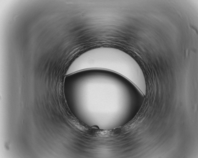 X0000095520092200712140919