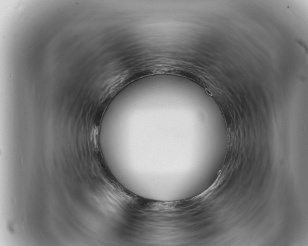 X0000095520094200712140919