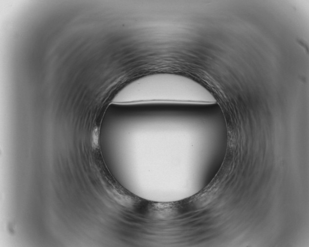 X0000095520095200712140919