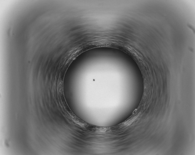 X0000095520096200712140919