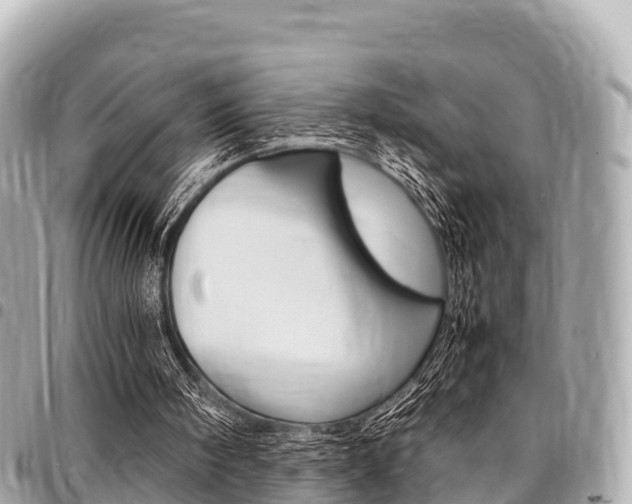 X0000095520098200712140919