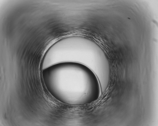 X0000095520100200712140919