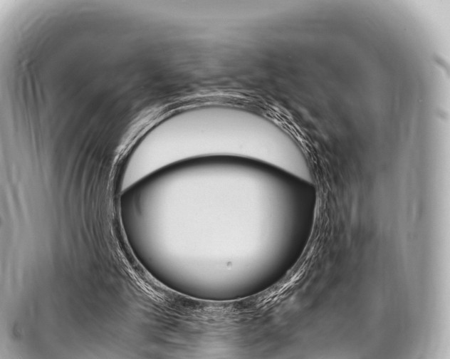 X0000095520101200712140918