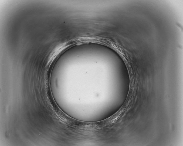 X0000095520103200712140918