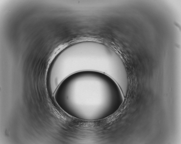 X0000095520104200712140918