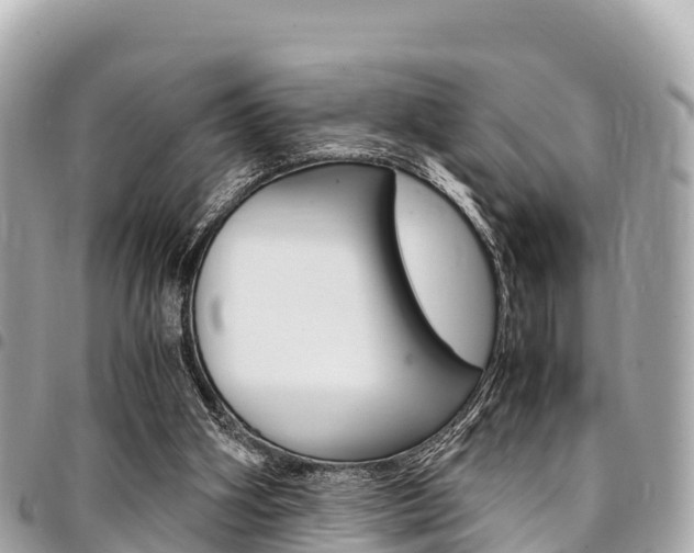 X0000095520106200712140918