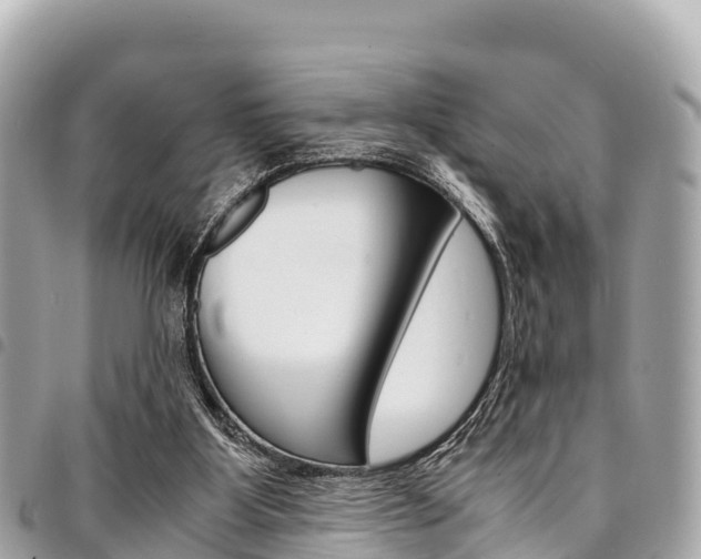 X0000095520107200712140918