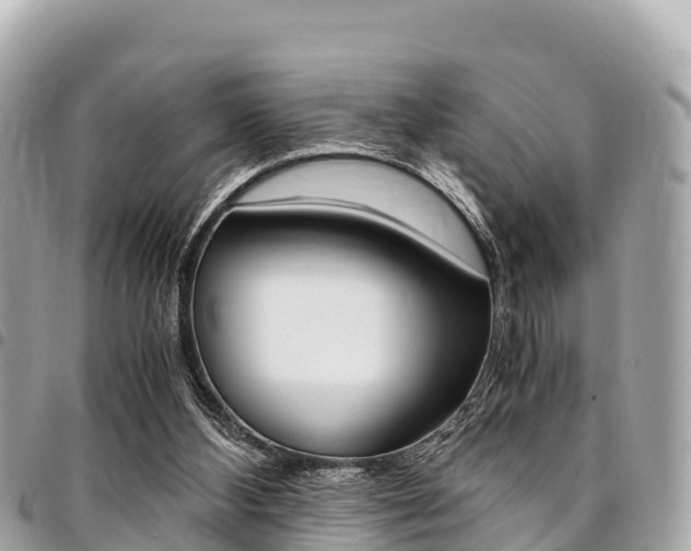 X0000095520108200712140918