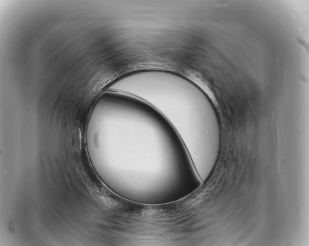 X0000095520109200712140918