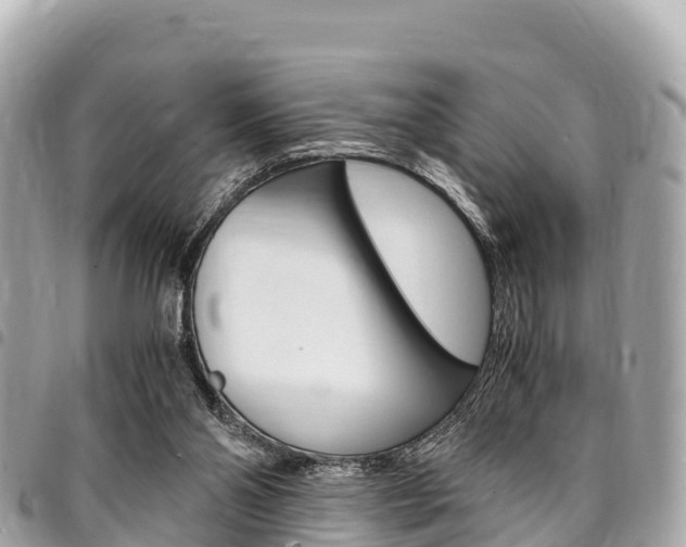 X0000095520110200712140918
