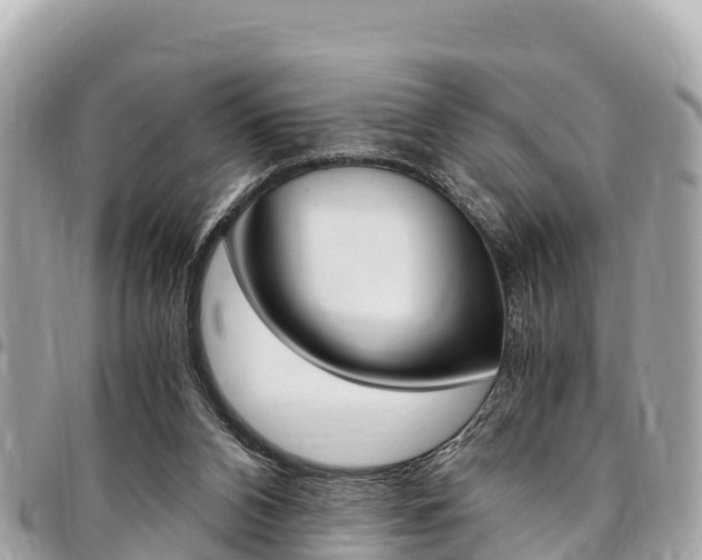 X0000095520112200712140918