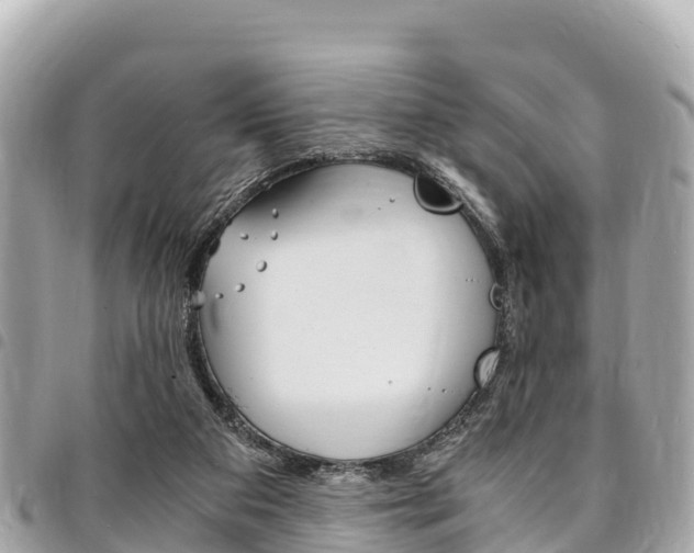 X0000095520113200712140918