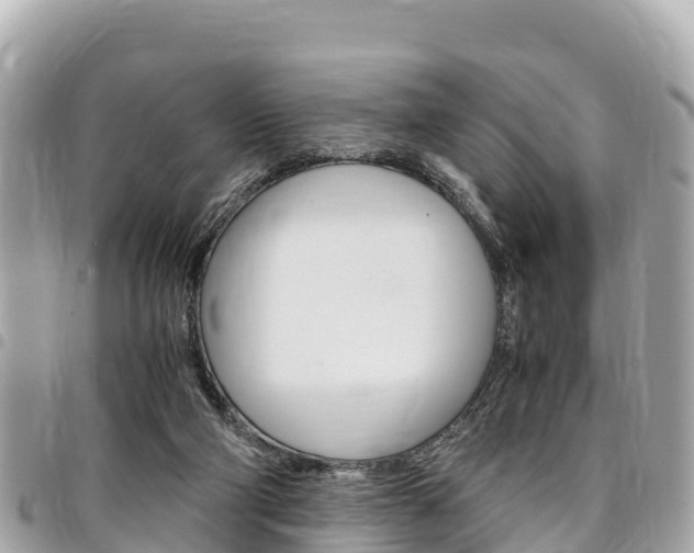 X0000095520114200712140918