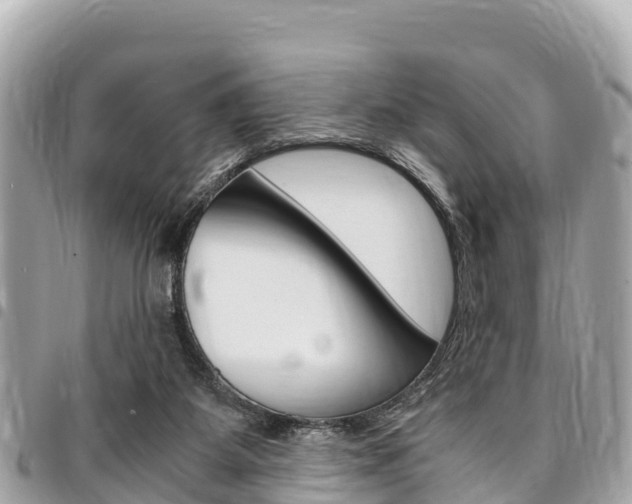 X0000095520115200712140918