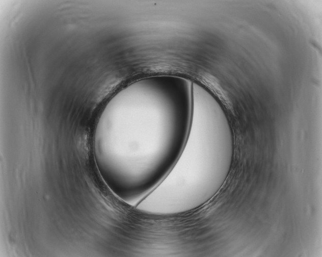 X0000095520116200712140918