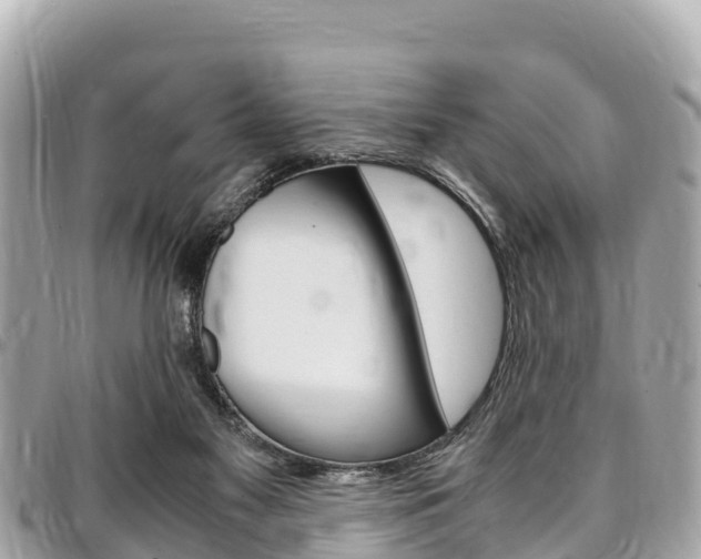 X0000095520117200712140918