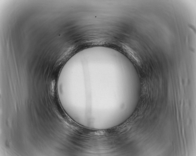 X0000095520118200712140918