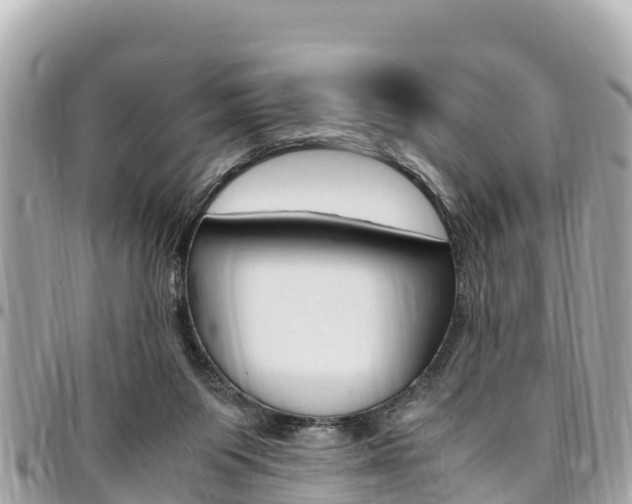 X0000095520119200712140918