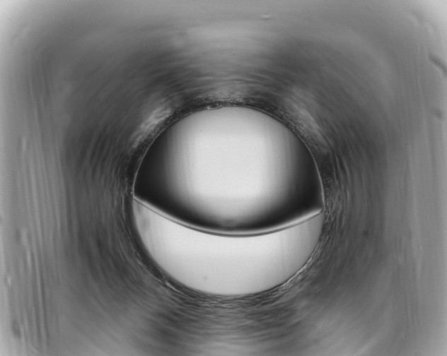 X0000095520120200712140918
