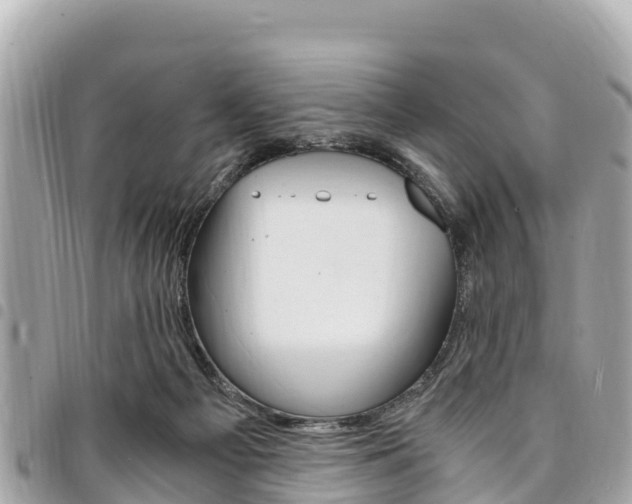 X0000095520121200712140918
