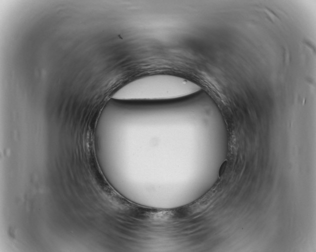 X0000095520122200712140918