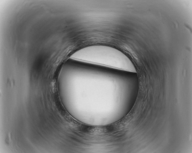 X0000095520123200712140918