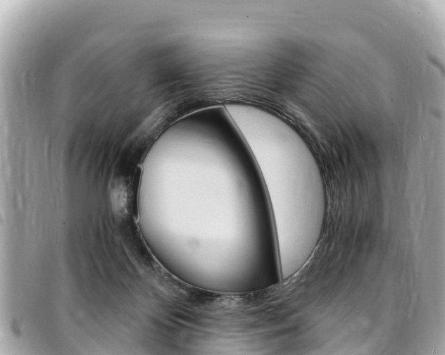 X0000095520124200712140918