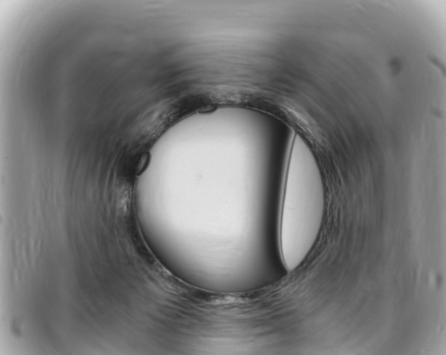 X0000095520125200712140918
