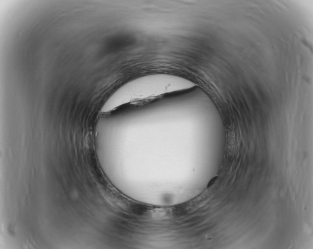 X0000095520126200712140918