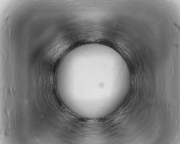 X0000095520127200712140918