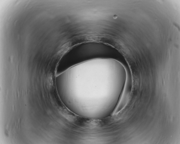 X0000095520128200712140918