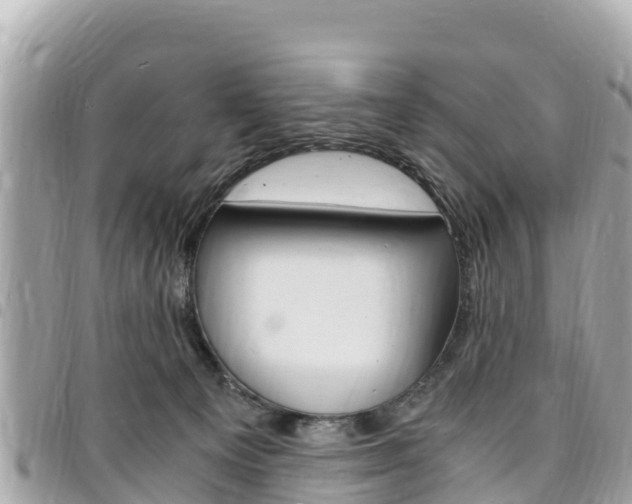 X0000095520129200712140918