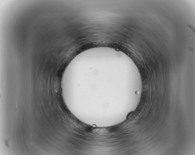 X0000095520133200712140918