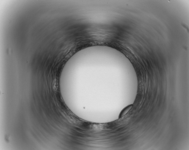 X0000095520134200712140918