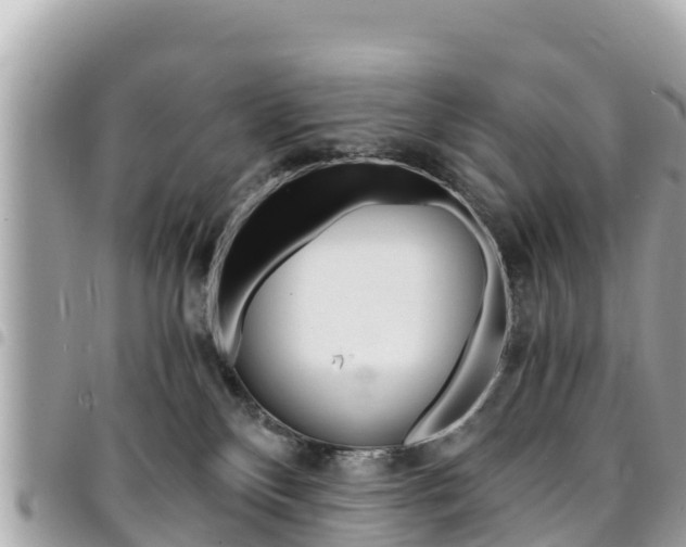 X0000095520136200712140918
