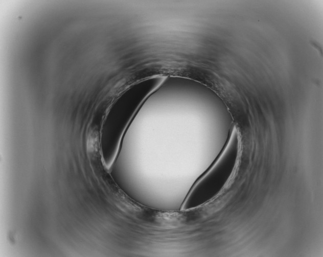 X0000095520137200712140918