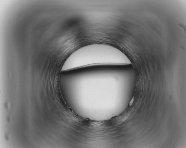 X0000095520139200712140918