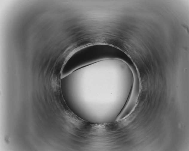 X0000095520140200712140918