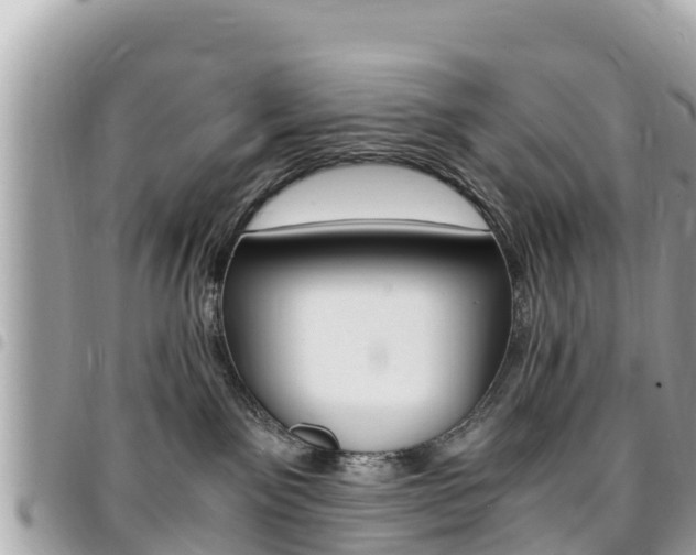 X0000095520141200712140918
