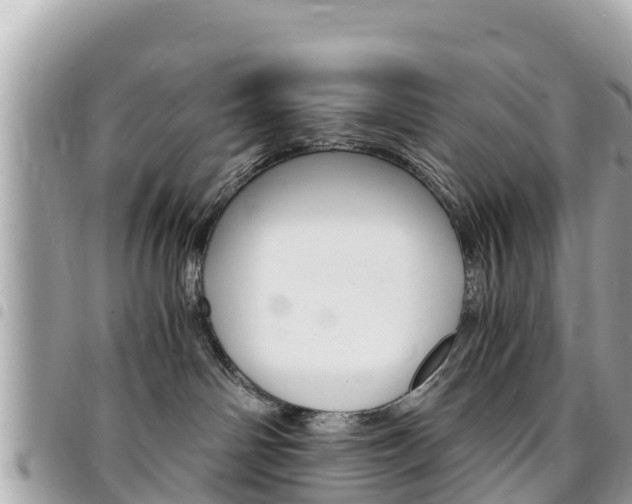 X0000095520142200712140918