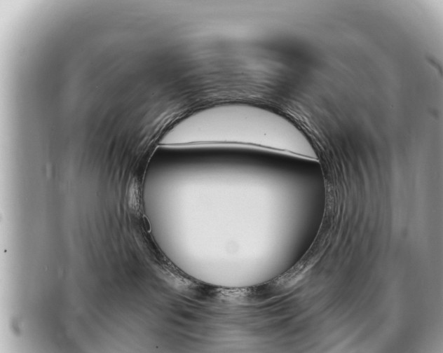 X0000095520143200712140918
