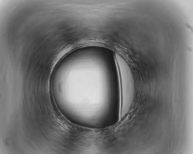 X0000095520148200712140917