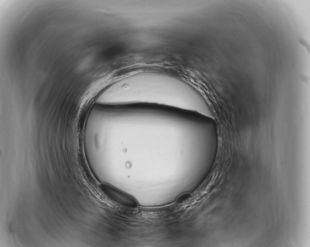X0000095520149200712140917