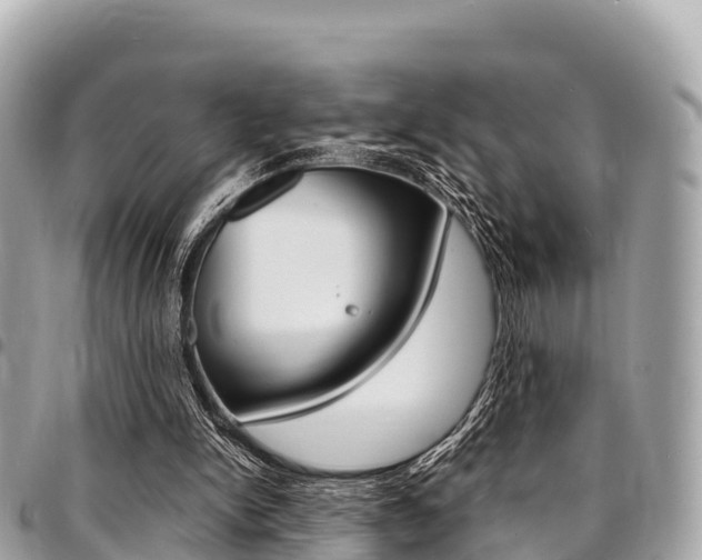 X0000095520150200712140917