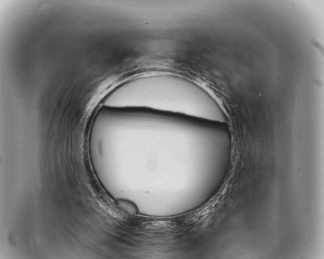 X0000095520151200712140917