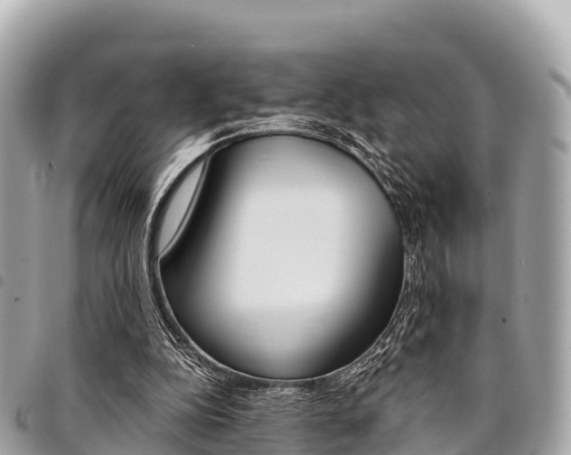 X0000095520152200712140917
