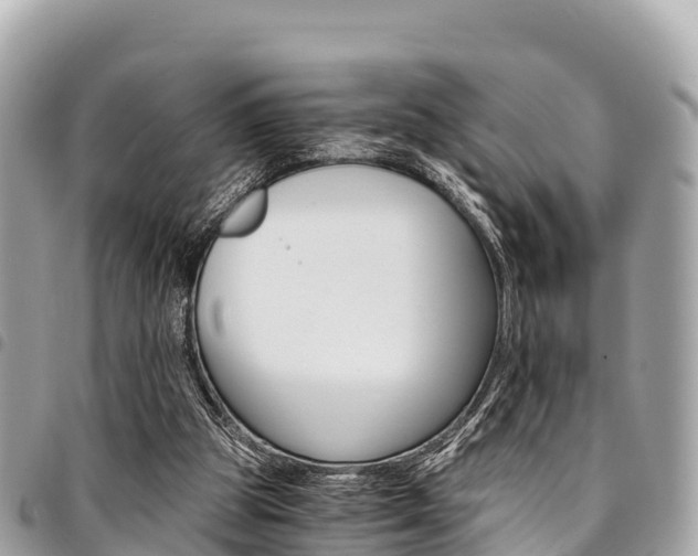 X0000095520153200712140917
