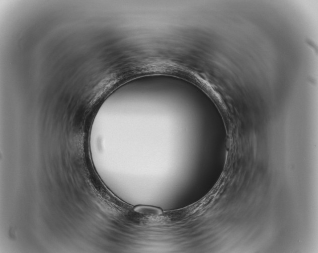 X0000095520154200712140917