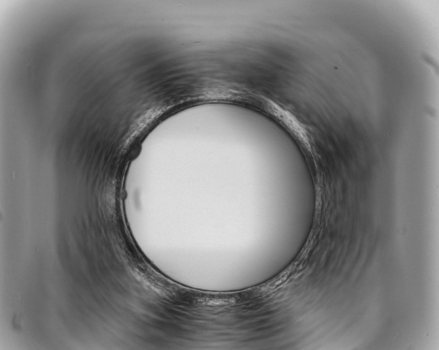 X0000095520155200712140917