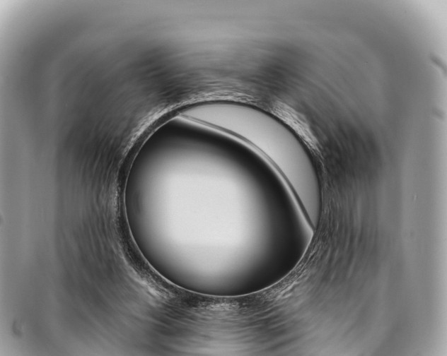 X0000095520156200712140917